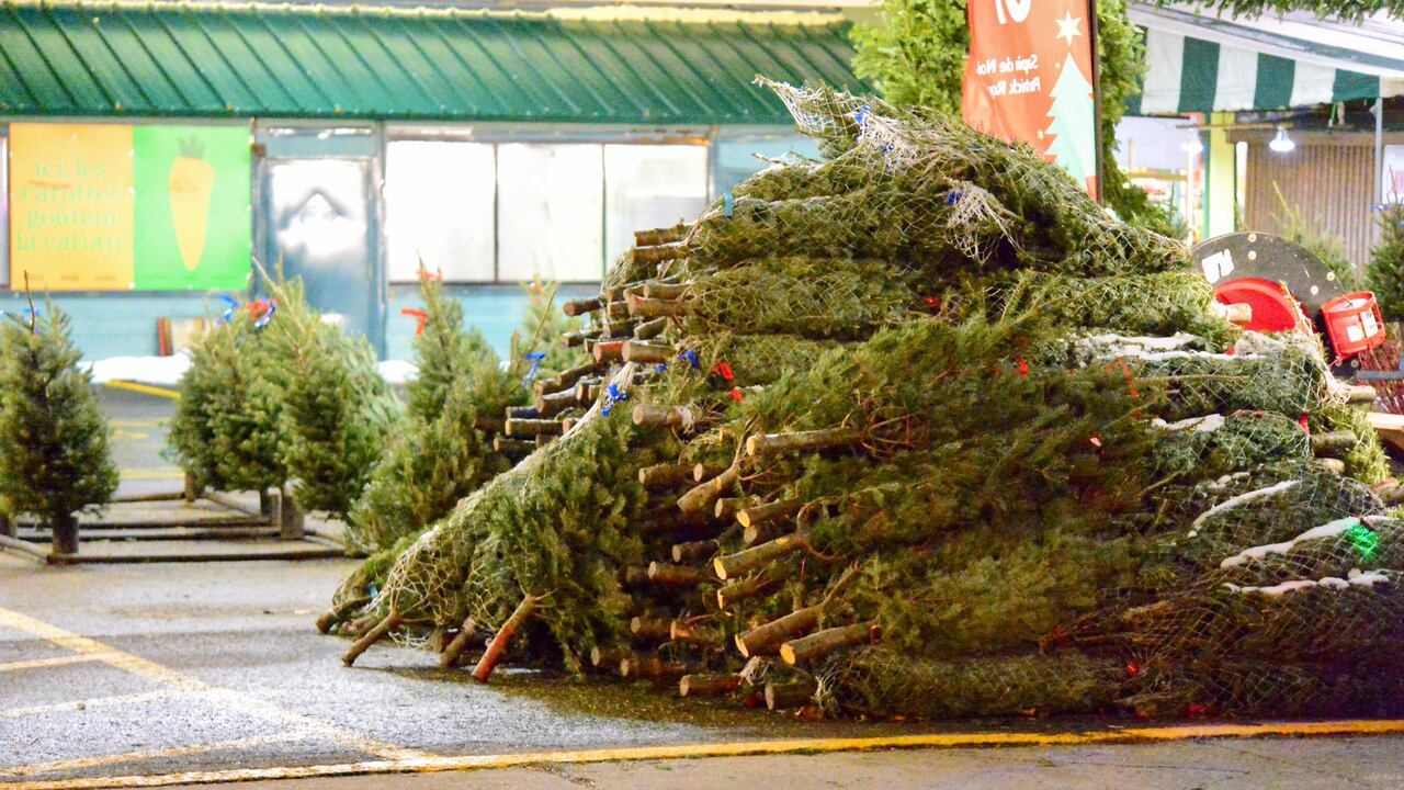 Christmas Tree Removal Service In Camas