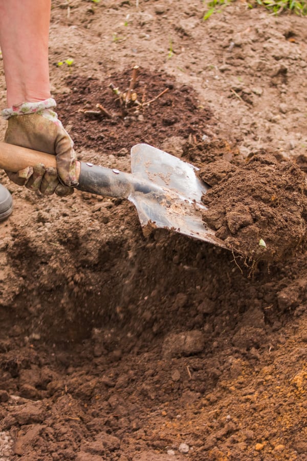 Dirt, Rock, Soil Removal Service In Camas