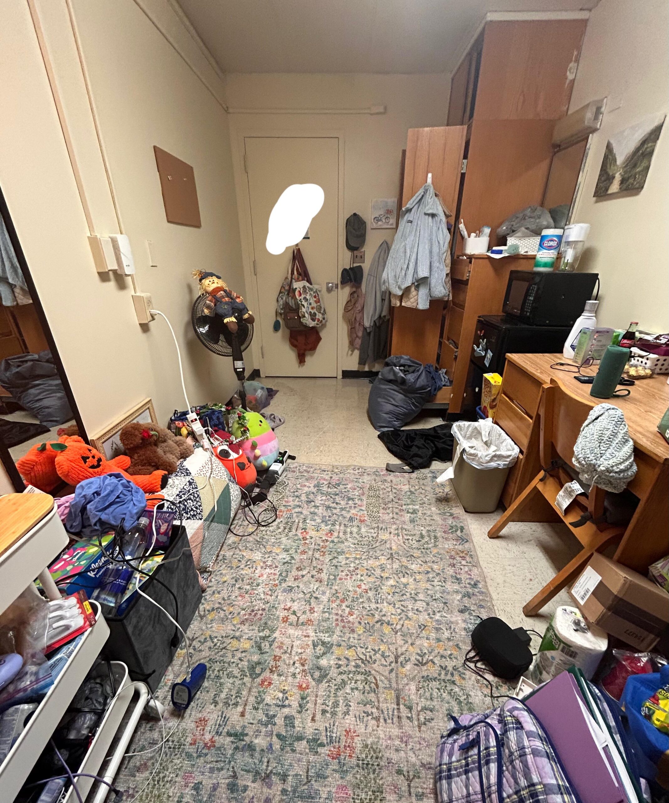 Dorm Room Cleanout Service In Camas