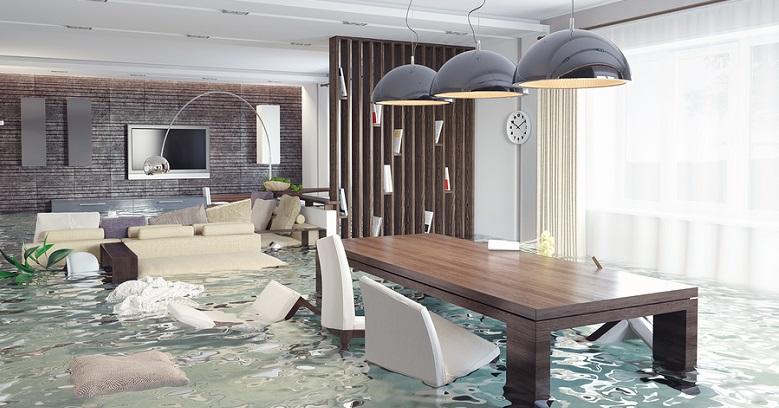 Flood Damage Cleanout Service In Camas