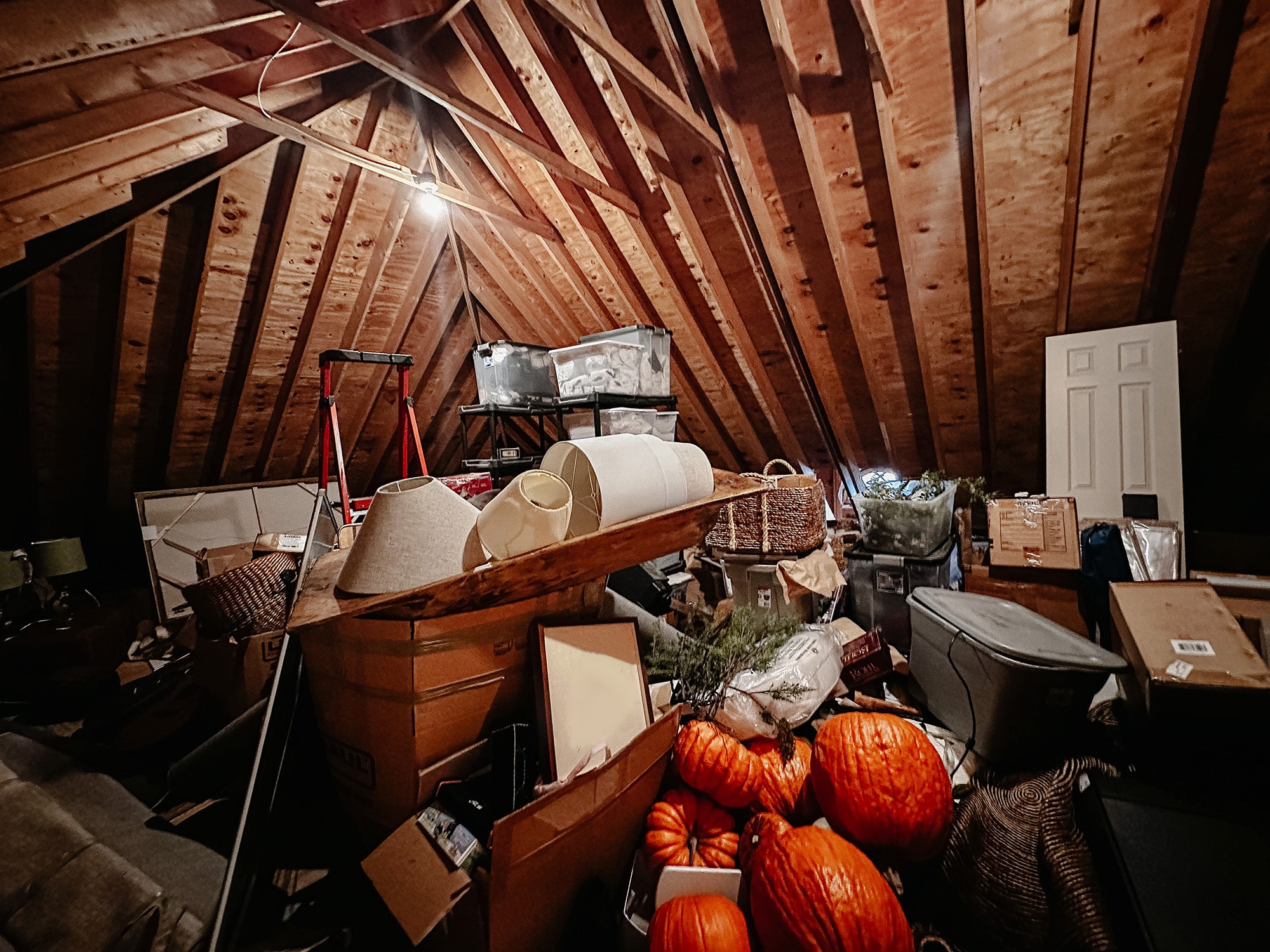 Attic Cleanout Service In Camas