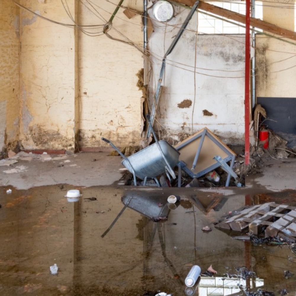 Junk Removal Cleanout Service in Camas