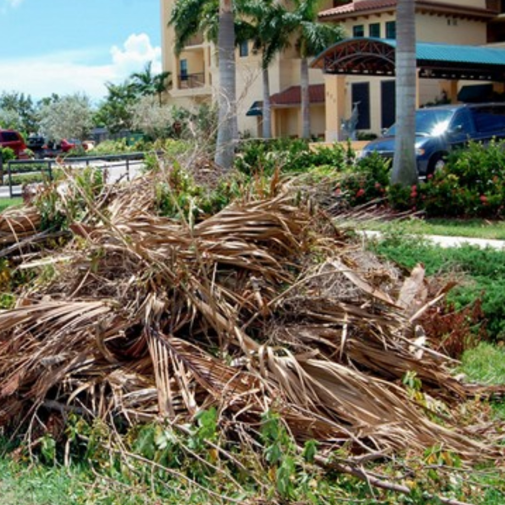 Junk Removal What We Take