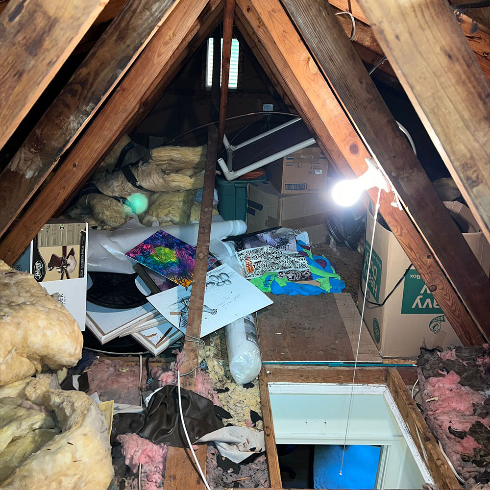 Attic Cleanout Service In Camas