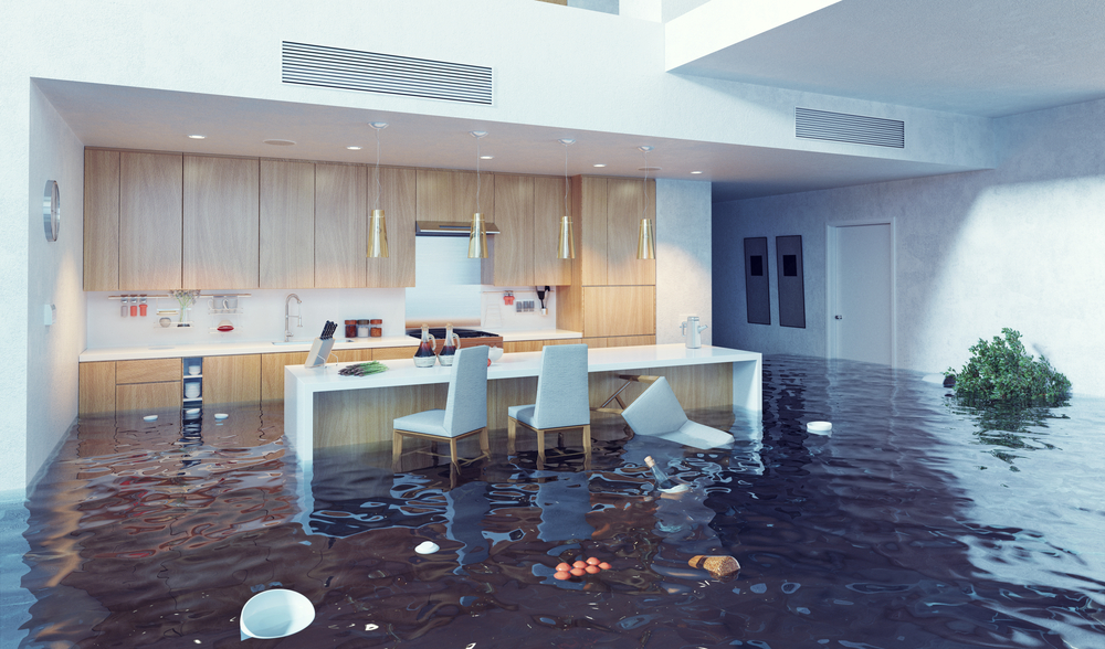 Flood Damage Cleanout Service In Camas
