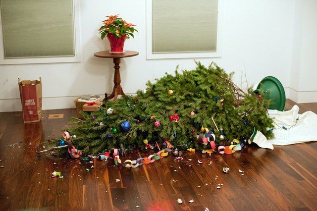 Christmas Tree Removal Service In Camas