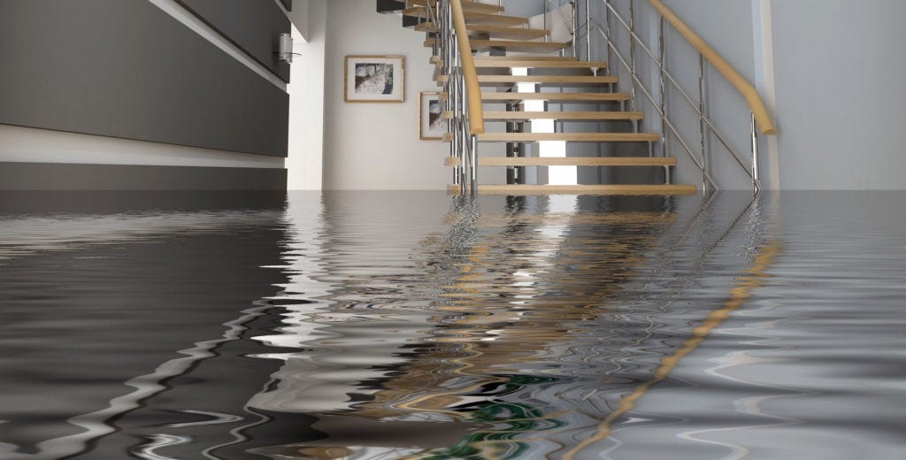 Flood Damage Cleanout Service In Camas